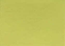 1981 Mercedes-Benz Mimosa Yellow